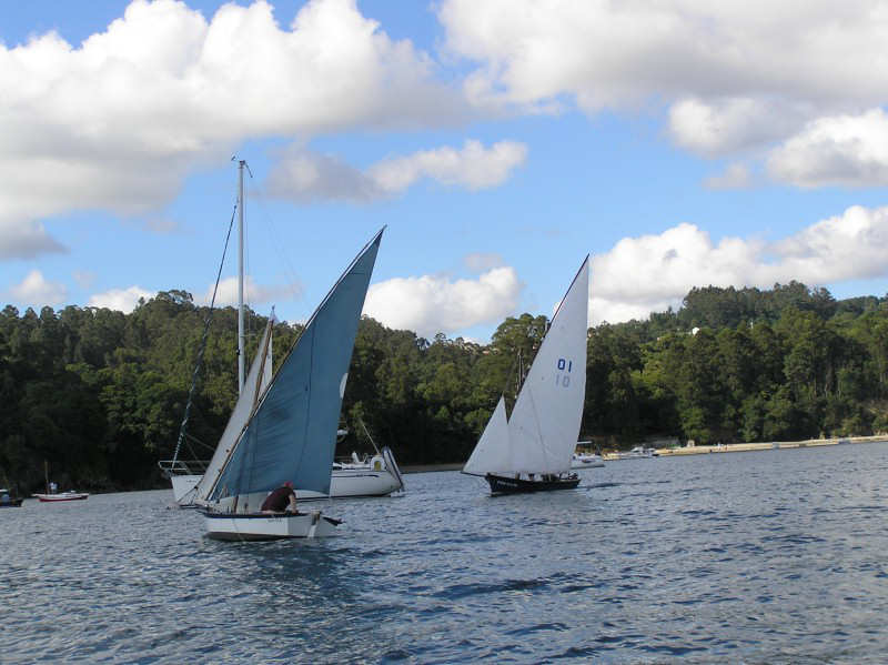 VRegata RVA 353