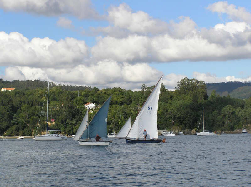 VRegata RVA 355