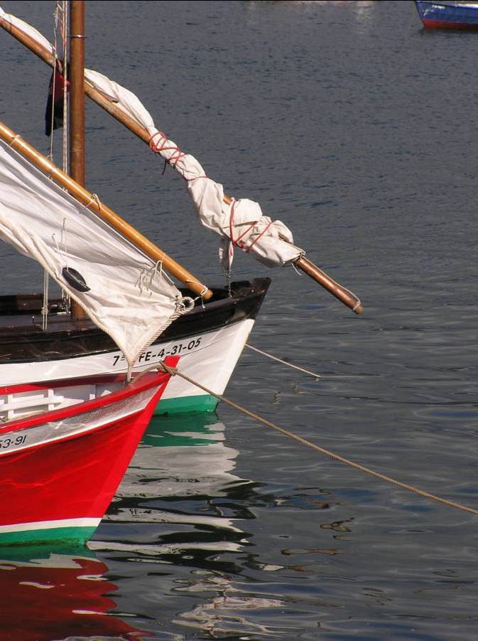 Festa da Cabria 2010 002