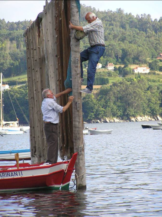 Festa da Cabria 2010 090