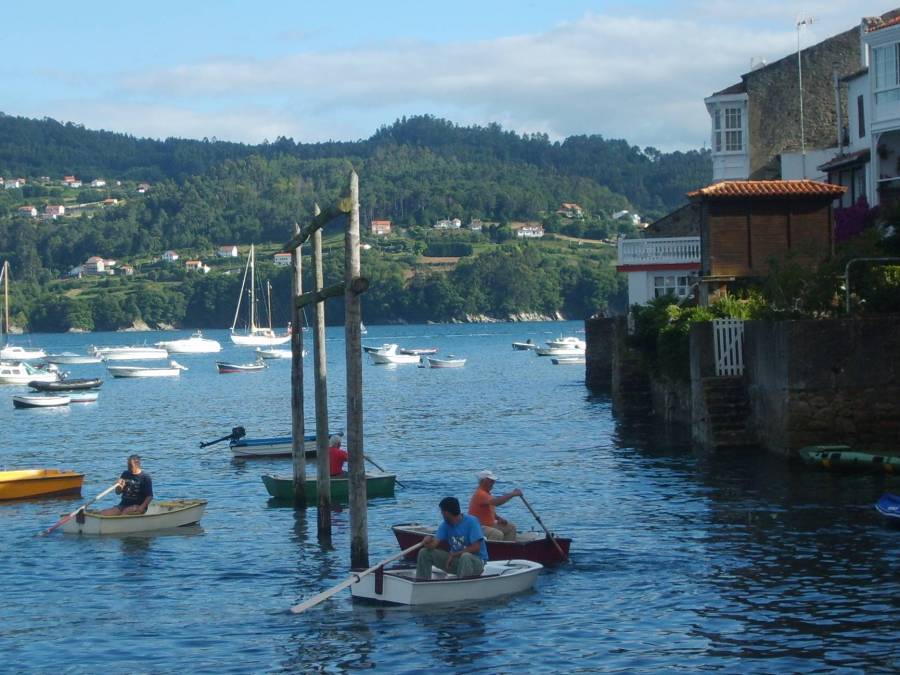 Festa da Cabria 2010 102