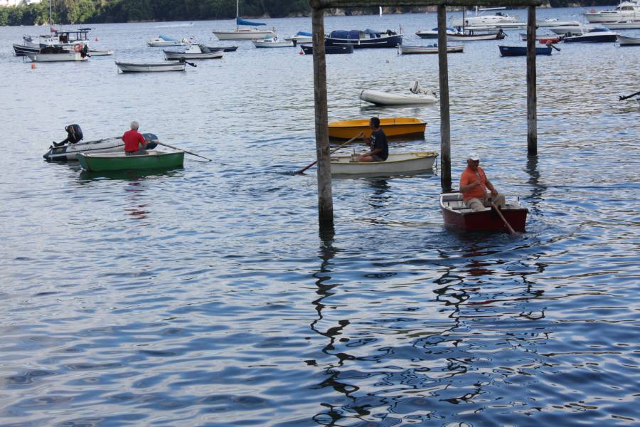 Festa da Cabria 2010 230