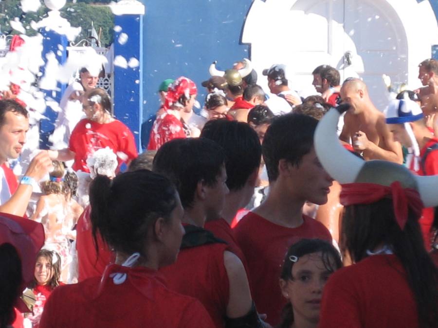 Invasion Vikinga 2010 053