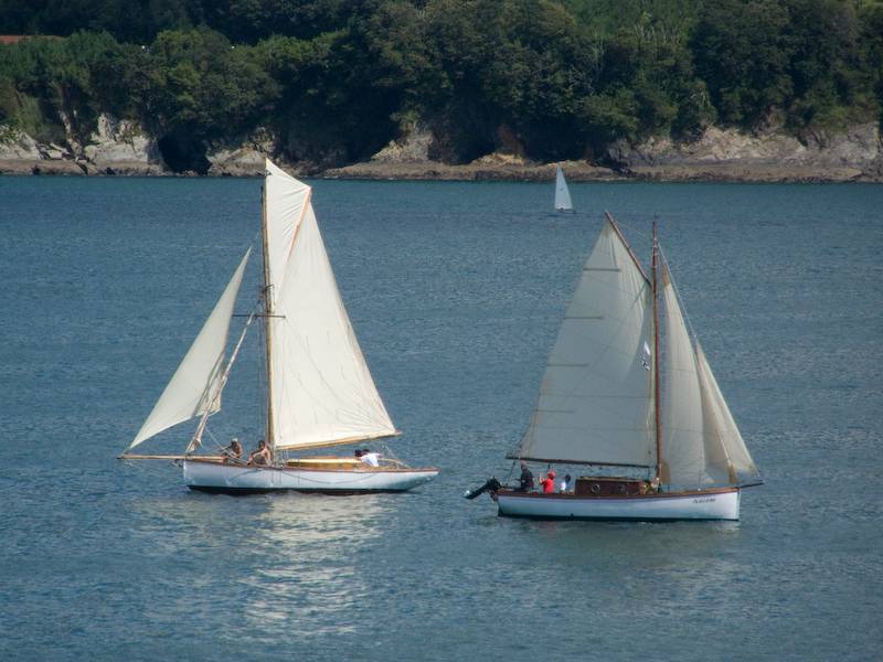 VRegata JCVA 024