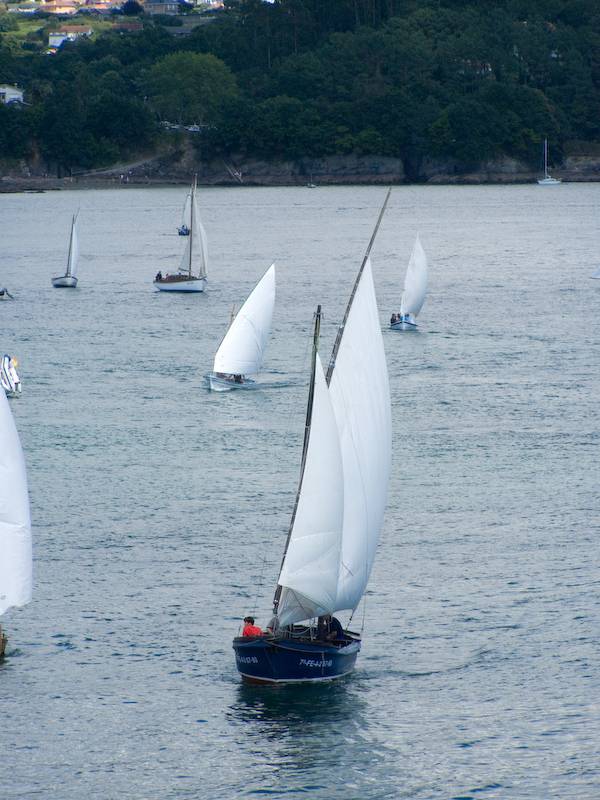 VRegata JCVA 029
