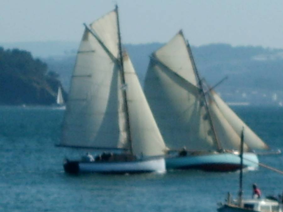 IX Regata Vela 001