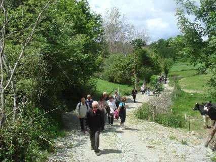 Roteiro Castroverde 2012