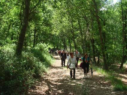 Roteiro Castroverde 2012