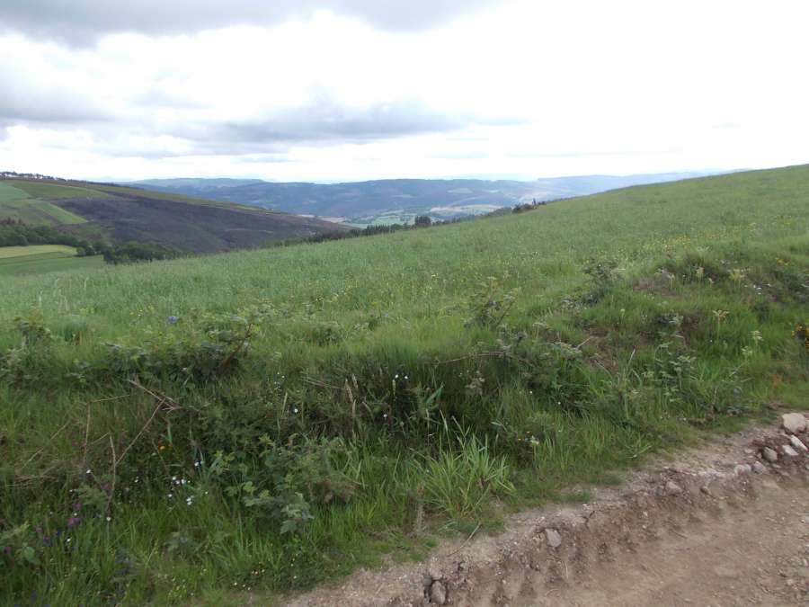 Roteiro Castroverde 2012