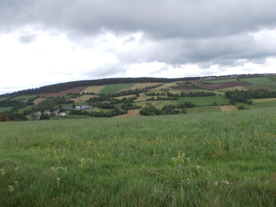 Roteiro Castroverde 2012