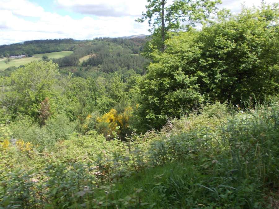 Roteiro Castroverde 2012