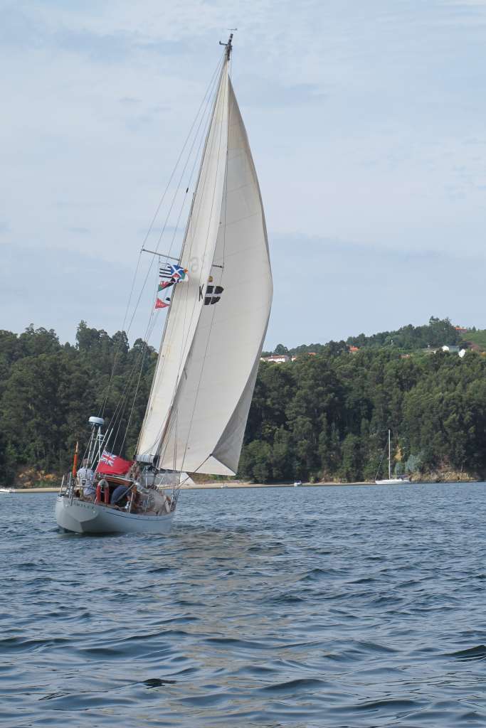 Desafios XI Regata 17