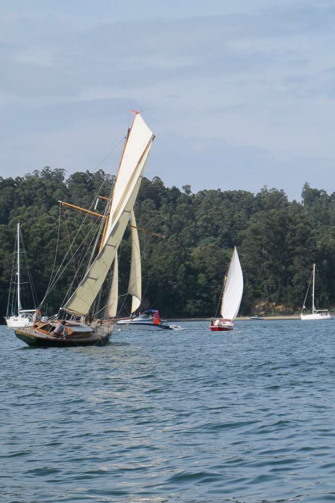 Desafios XI Regata 21