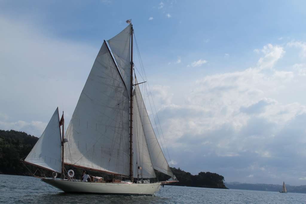 Desafios XI Regata 31