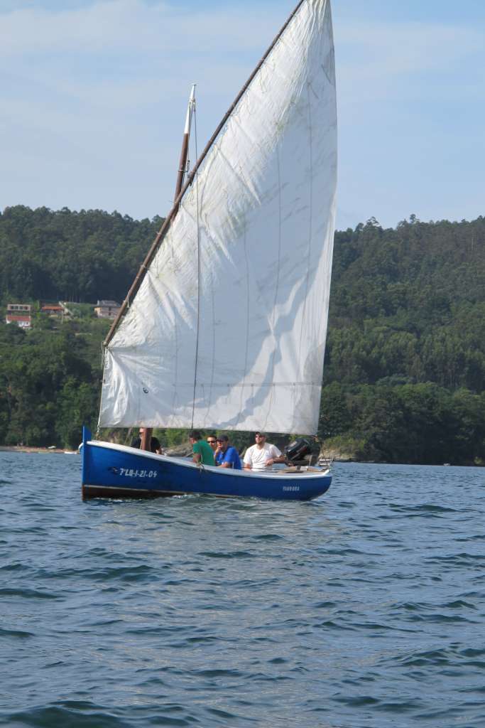 Desafios XI Regata 41