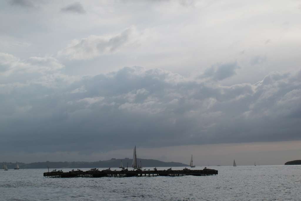 Desafios XI Regata 63