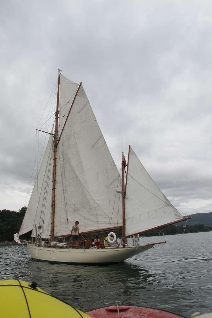 Desafios XI Regata 65