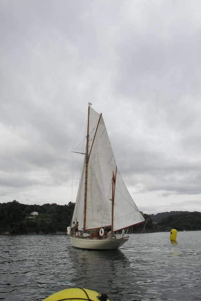 Desafios XI Regata 66