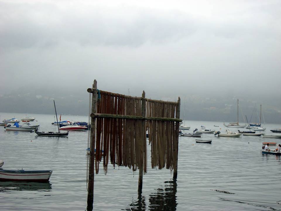 Festa da Cabria 2013 09