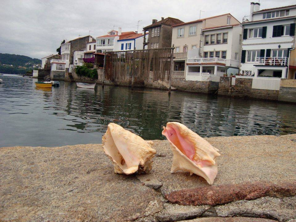 Fresta da Cabria 2012