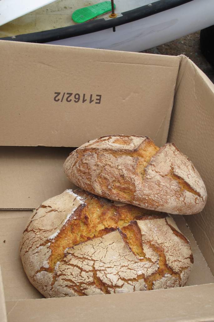 Festa da Cabria 2014 102