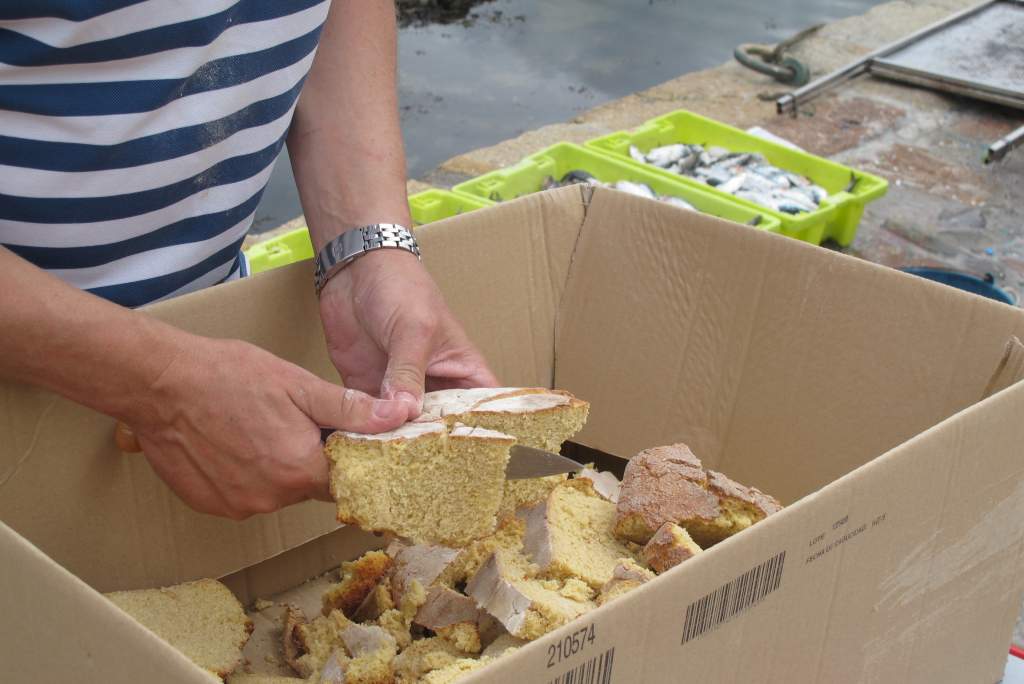 Festa da Cabria 2014 103