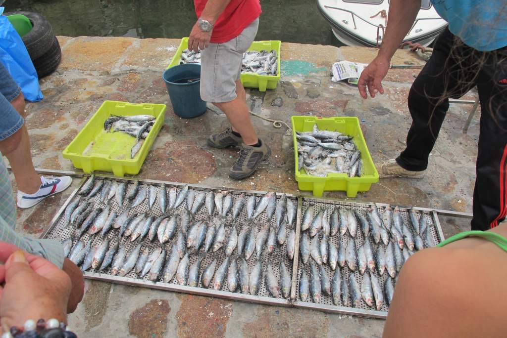 Festa da Cabria 2014 143