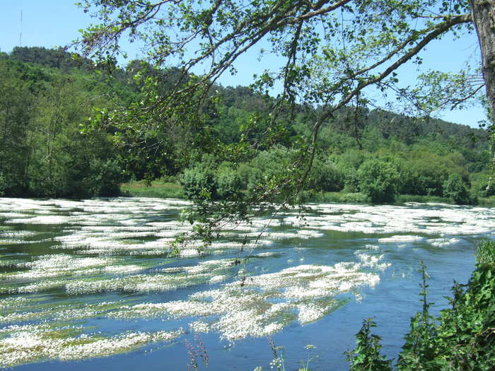 VIII Encontro De Asociacions Culturais 16