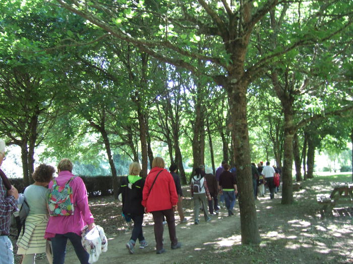 VIII Encontro De Asociacions Culturais 37