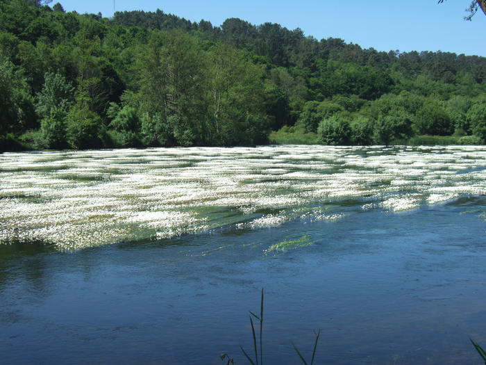 VIII Encontro De Asociacions Culturais 41