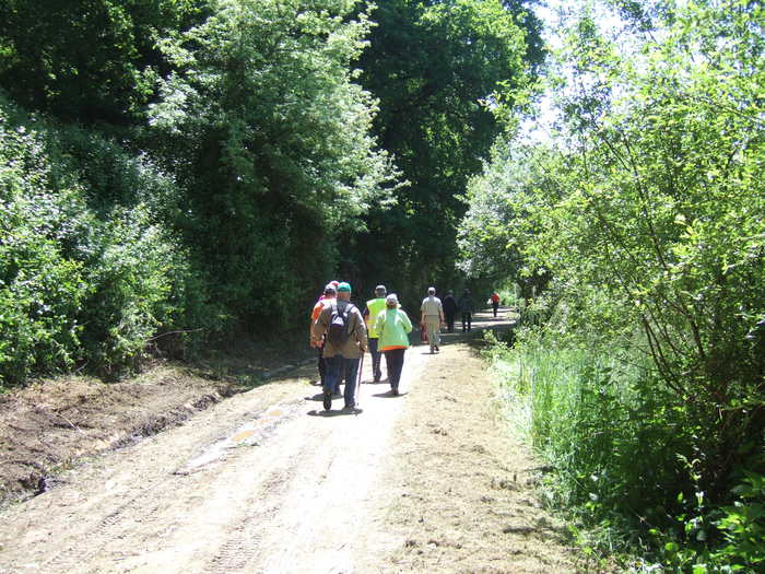 VIII Encontro De Asociacions Culturais 43