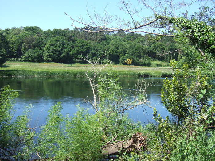 VIII Encontro De Asociacions Culturais 44