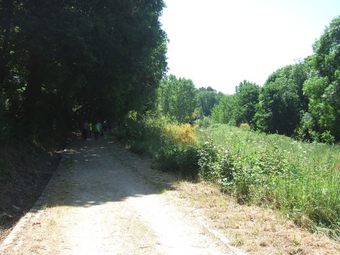 VIII Encontro De Asociacions Culturais 45