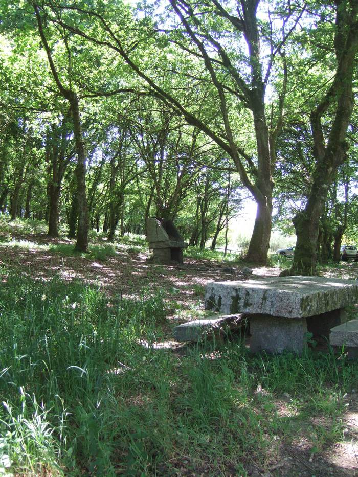 VIII Encontro De Asociacions Culturais 46