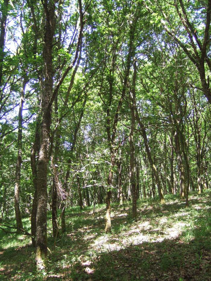 VIII Encontro De Asociacions Culturais 48