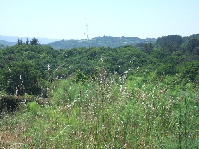 VIII Encontro De Asociacions Culturais 50