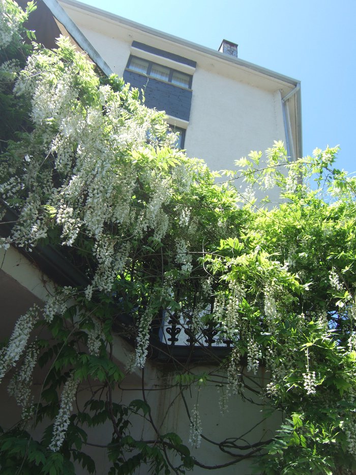 VIII Encontro De Asociacions Culturais 51