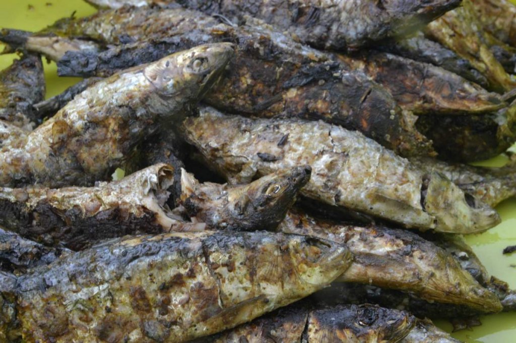 FestaDaCabria2015 16