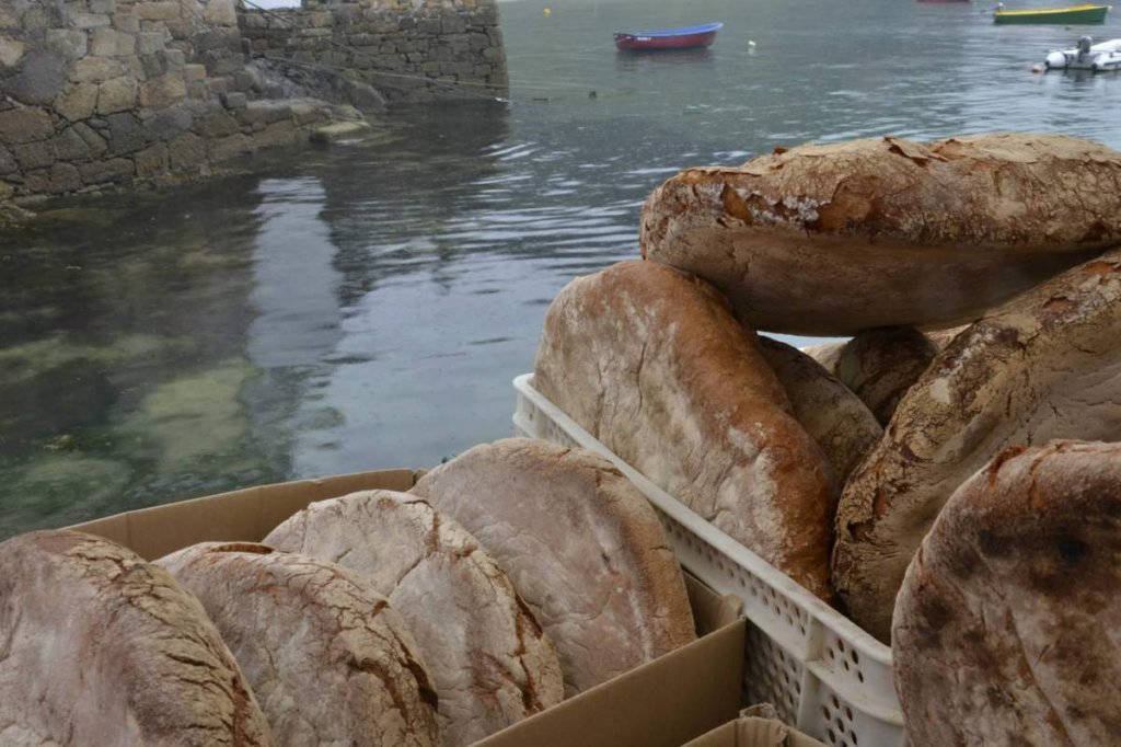 FestaDaCabria2015 21