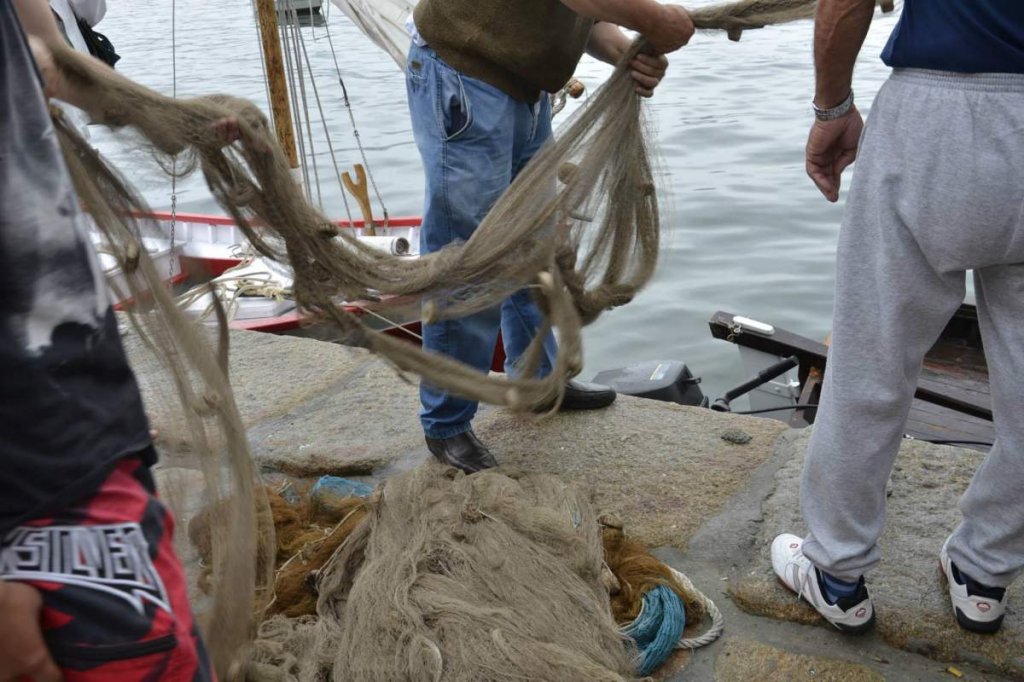 FestaDaCabria2015 24