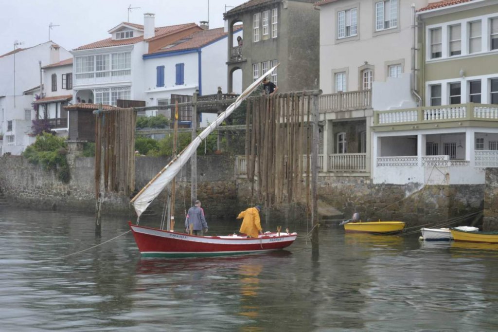 FestaDaCabria2015 31