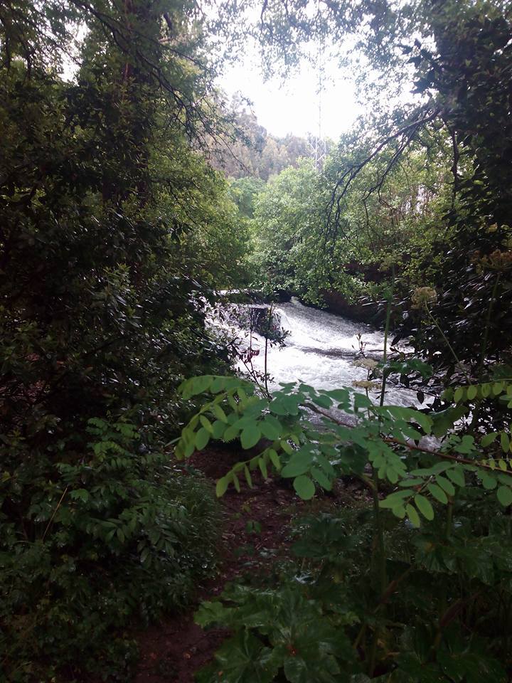 IX Encontro De Asociacions 03