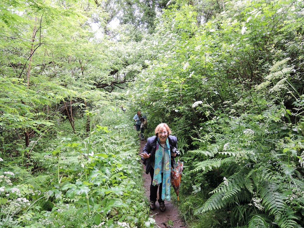 IX Encontro De Asociacions 05