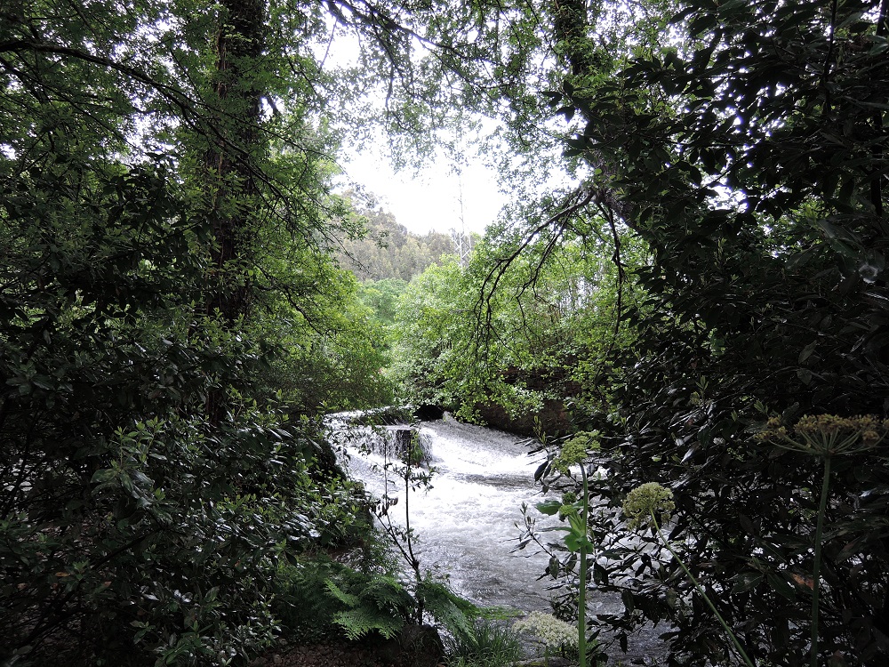 IX Encontro De Asociacions 06