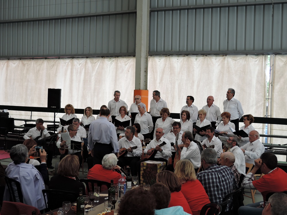 IX Encontro De Asociacions 14