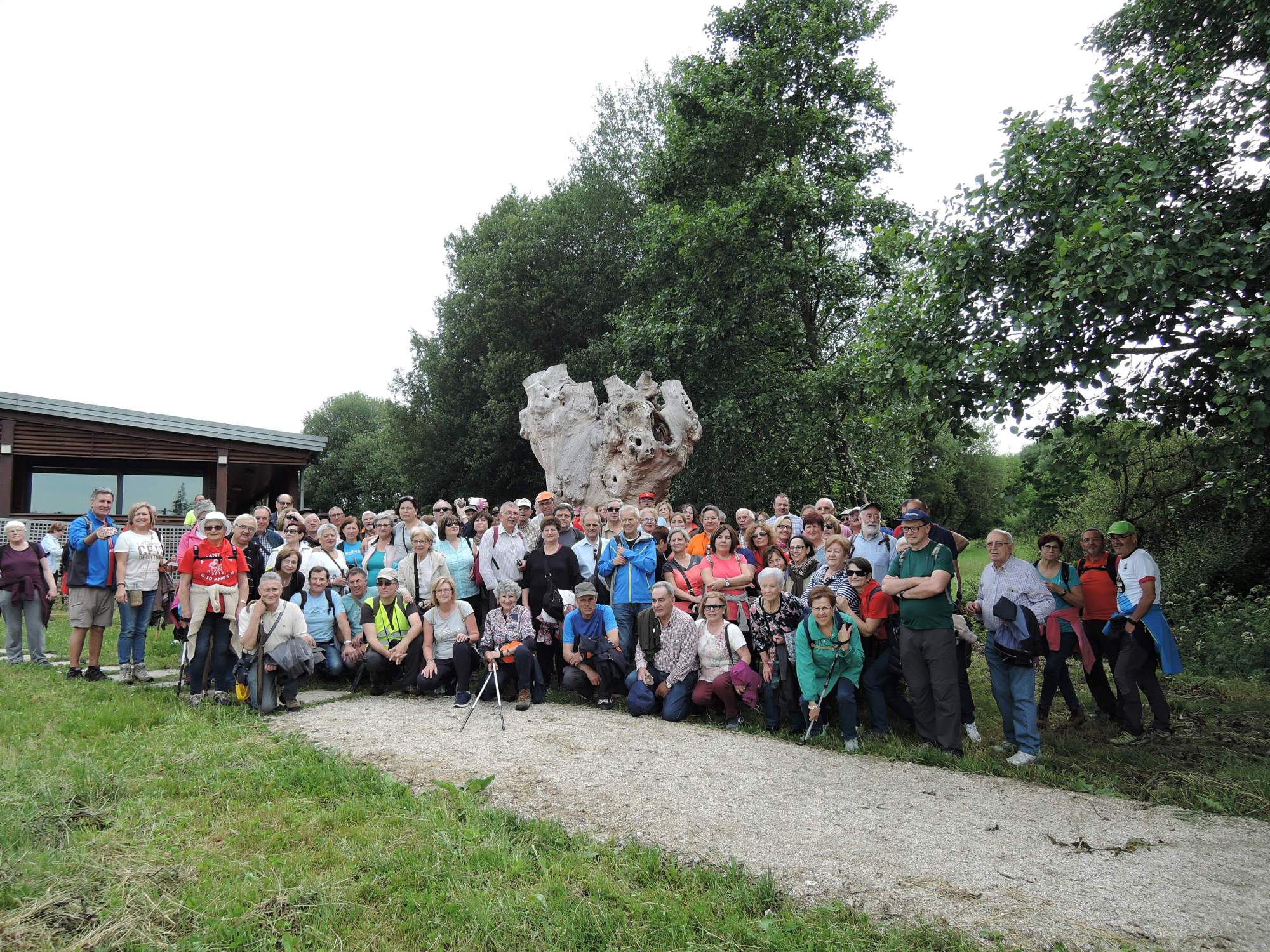 X Encontro Asociacions 2017 05