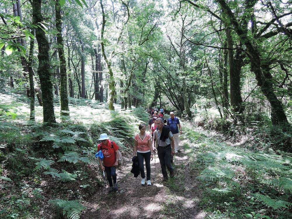 X Encontro Asociacions 2017 16