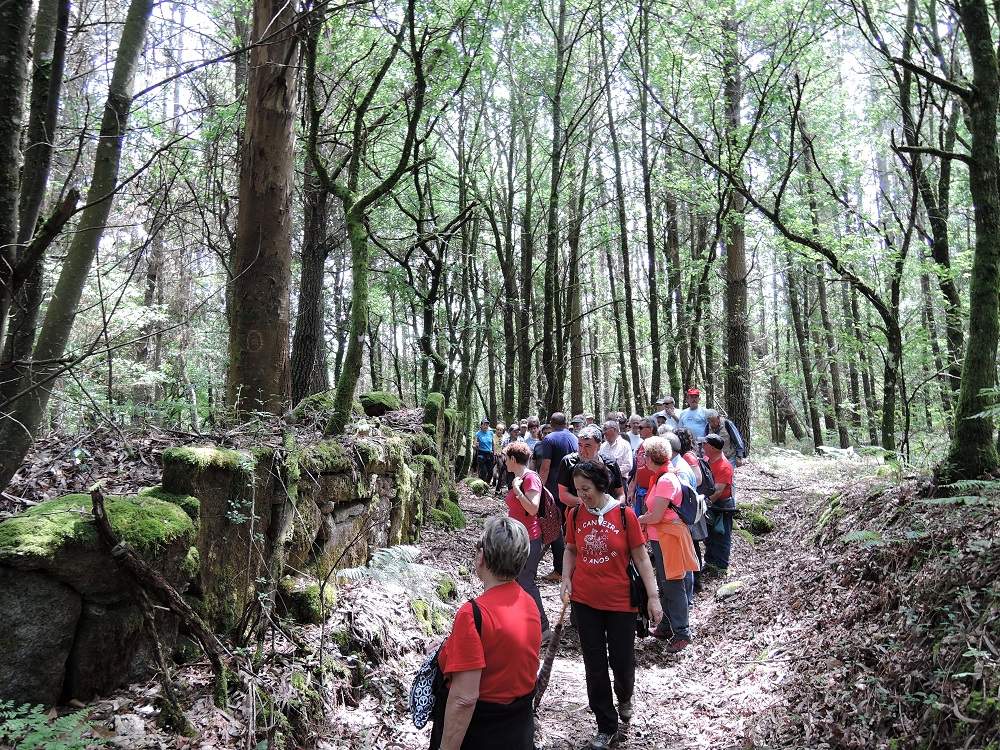 X Encontro Asociacions 2017 17