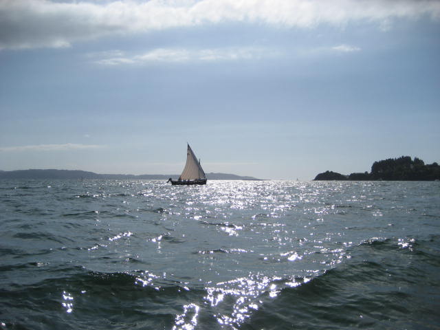 xvi regata de vela tradicional 01