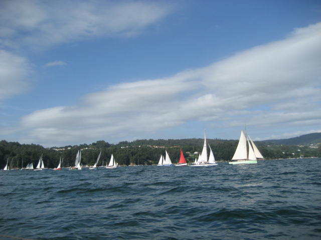 xvi regata de vela tradicional 02